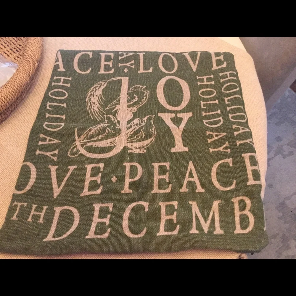 EUC Pottery Barn Pillow Cover